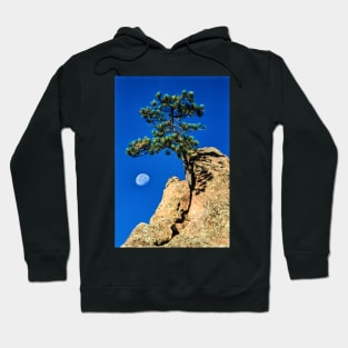 Moon Tree Hoodie